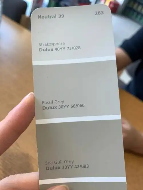 多乐士选色奶咖浅滩银珠