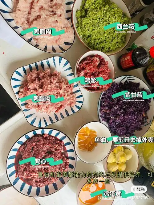 自制狗粮 98超爱吃