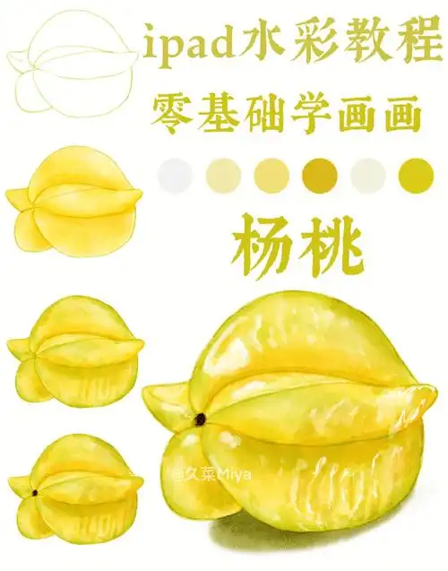 水果~杨桃是你喜欢的水果吗?