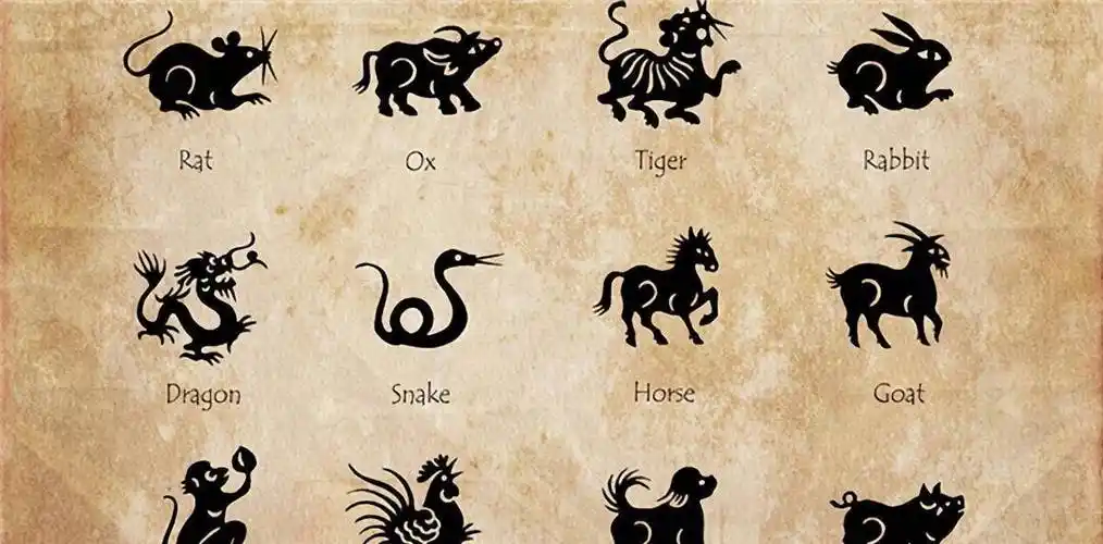 夫妻同属相好不好_十二生肖_动物_仙人