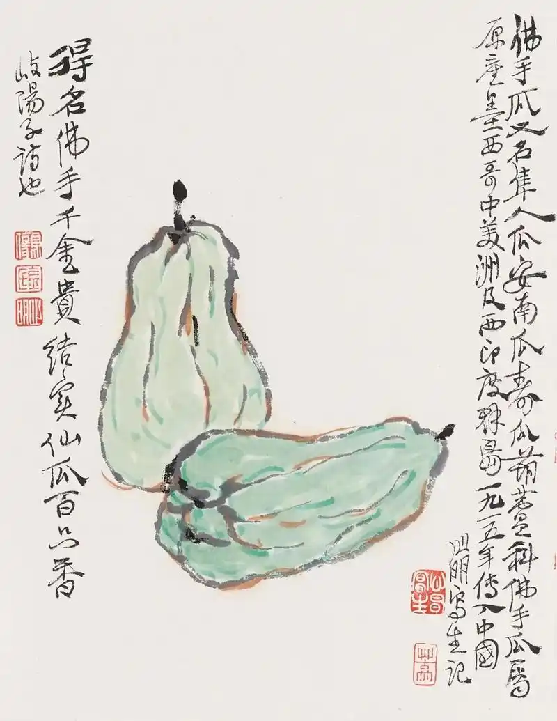 释文:佛手瓜又名隼人瓜,安南瓜,寿瓜.葫芦科佛手瓜属.