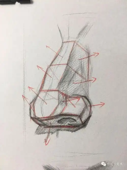 素描头像五官鼻子的绘画你真的能找准结构线吗
