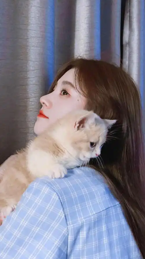 鞠婧祎甜美可爱撸猫照