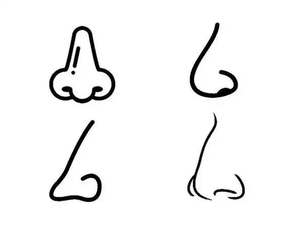 简笔画鼻子简单又漂亮
