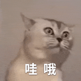 奇怪的表情包增加了_人生