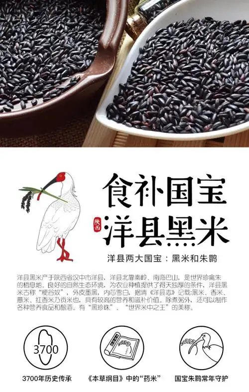 周大黑陕西汉中特产洋县黑米双亚天然农家粗粮五谷杂粮黑香米1kg精品