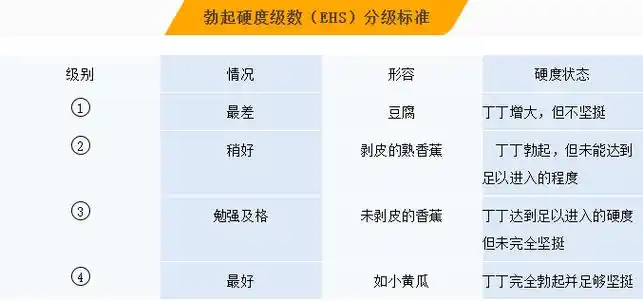 丁丁勃起硬度分级图