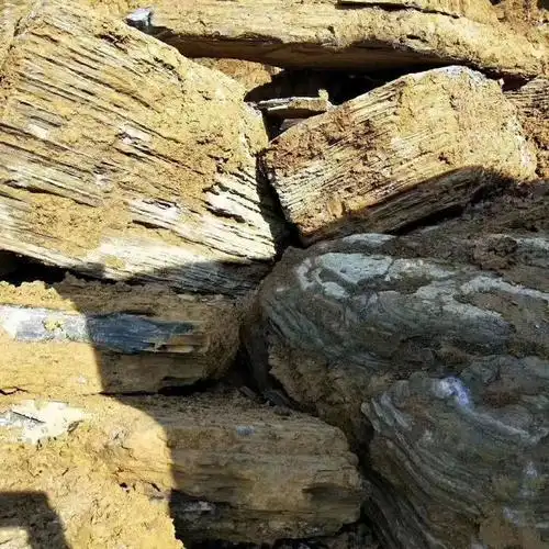 龟纹石假山|护坡龟纹石|杂纹石驳岸供应批发|万吨龟裂石产地批发