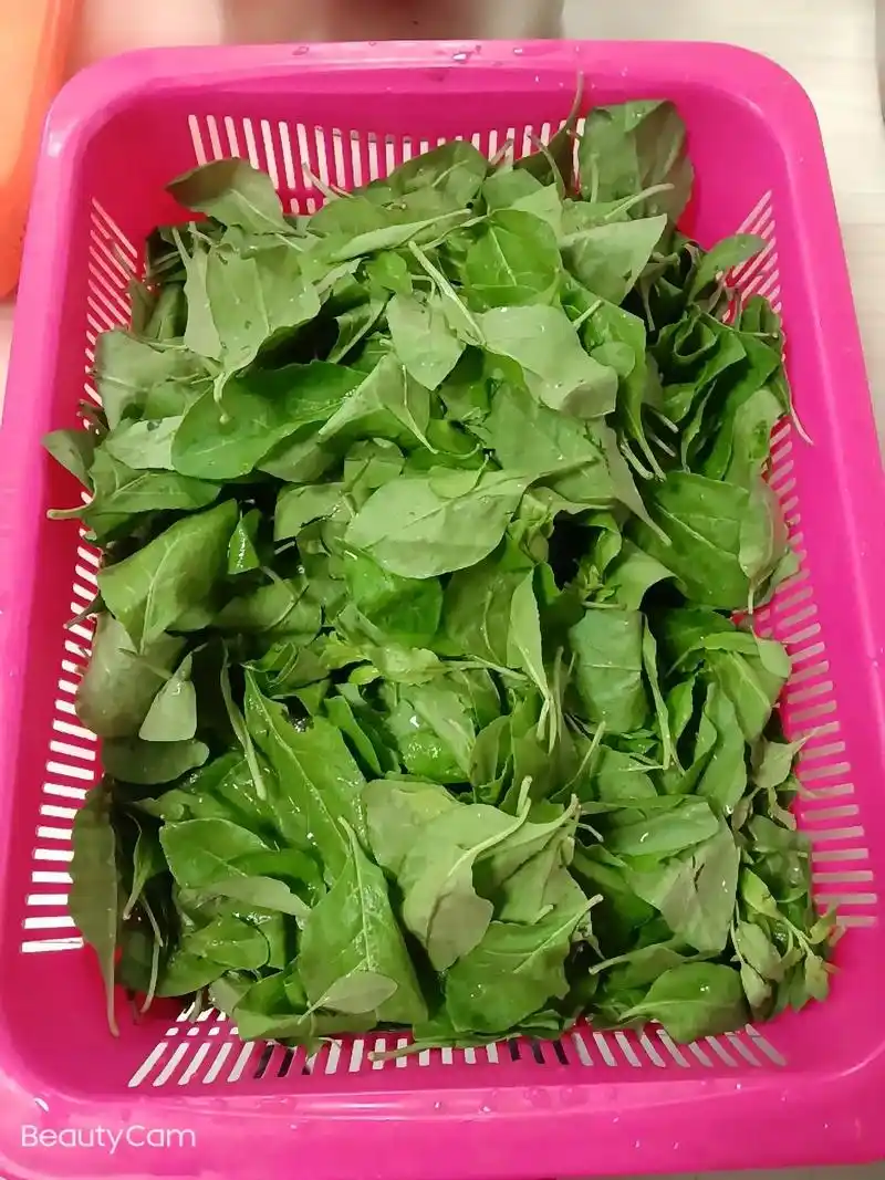 今日推荐手工猪肉丸枸杞汤 - 抖音