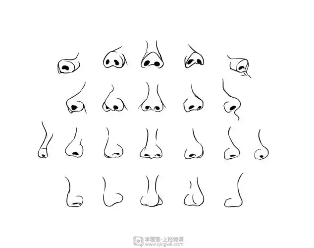 临摹鼻子—人体五官鼻子结构入门练习