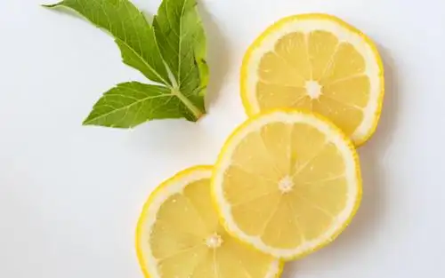 电脑壁纸 花卉 果蔬 最爱的水果——柠檬