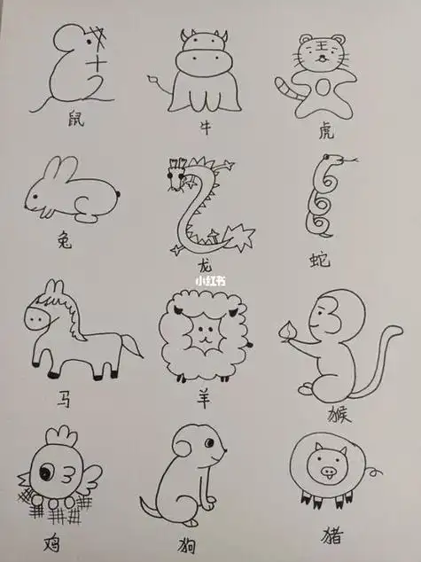 生肖简笔画大全可爱有趣的卡通小动物孩子能画一叠纸十二生肖动物大全