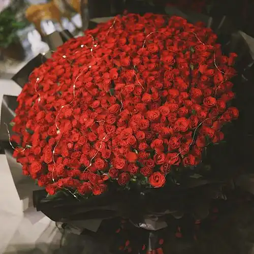 钰尚周年纪999朵玫瑰鲜花北京同城送花求婚520朵365朵花束送女友表白5