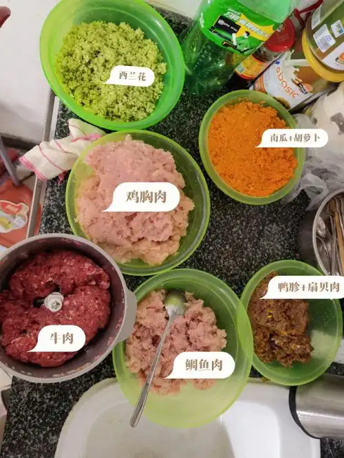 小红书抄作业自制狗粮狗粮配方分享