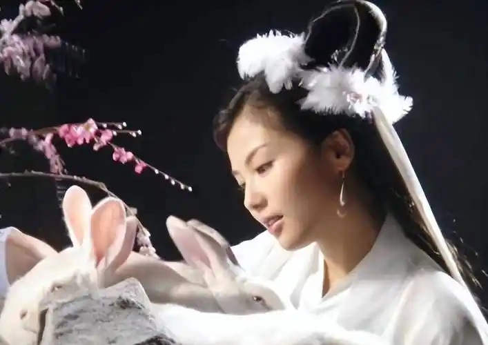 2006年,刘涛在古装神话剧《封神榜之凤鸣岐山》中客串出演嫦娥.